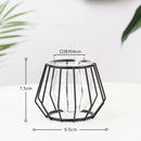 Iron Line Metal Plant Holder