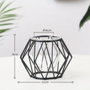 Iron Line Metal Plant Holder
