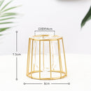 Iron Line Metal Plant Holder