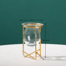 Iron Line Metal Plant Holder